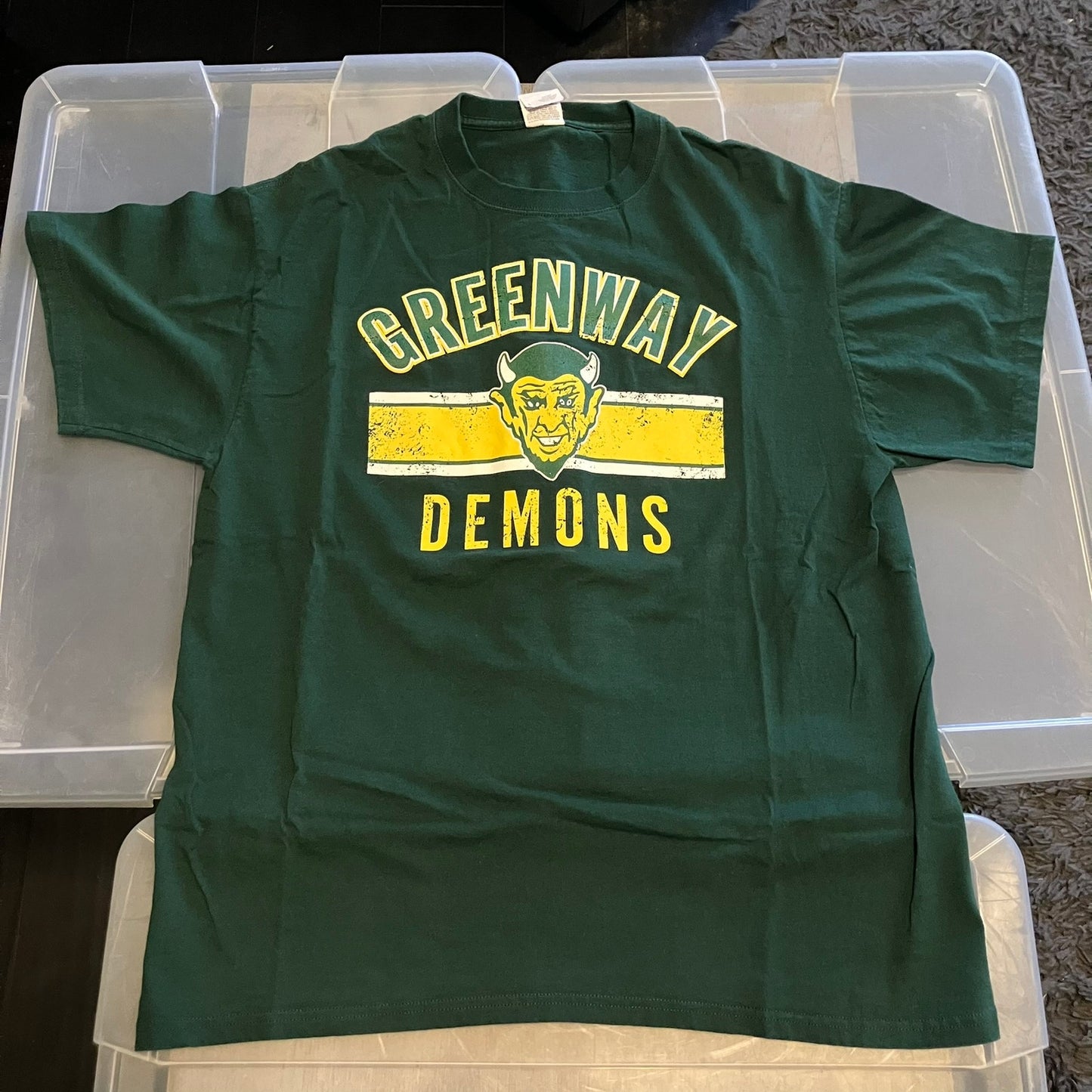 Greenway High School Demons 5 Vtg Large T Lot + New Pin School Mascot *1 T is XL