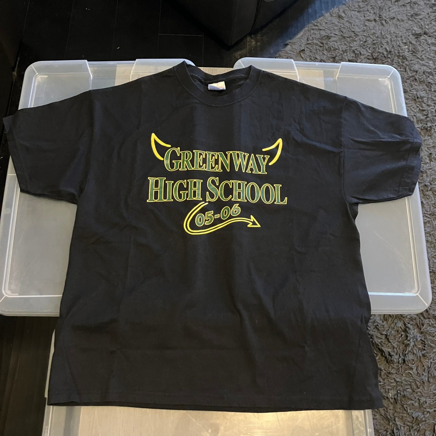 Greenway High School Demons 5 Vtg Large T Lot + New Pin School Mascot *1 T is XL
