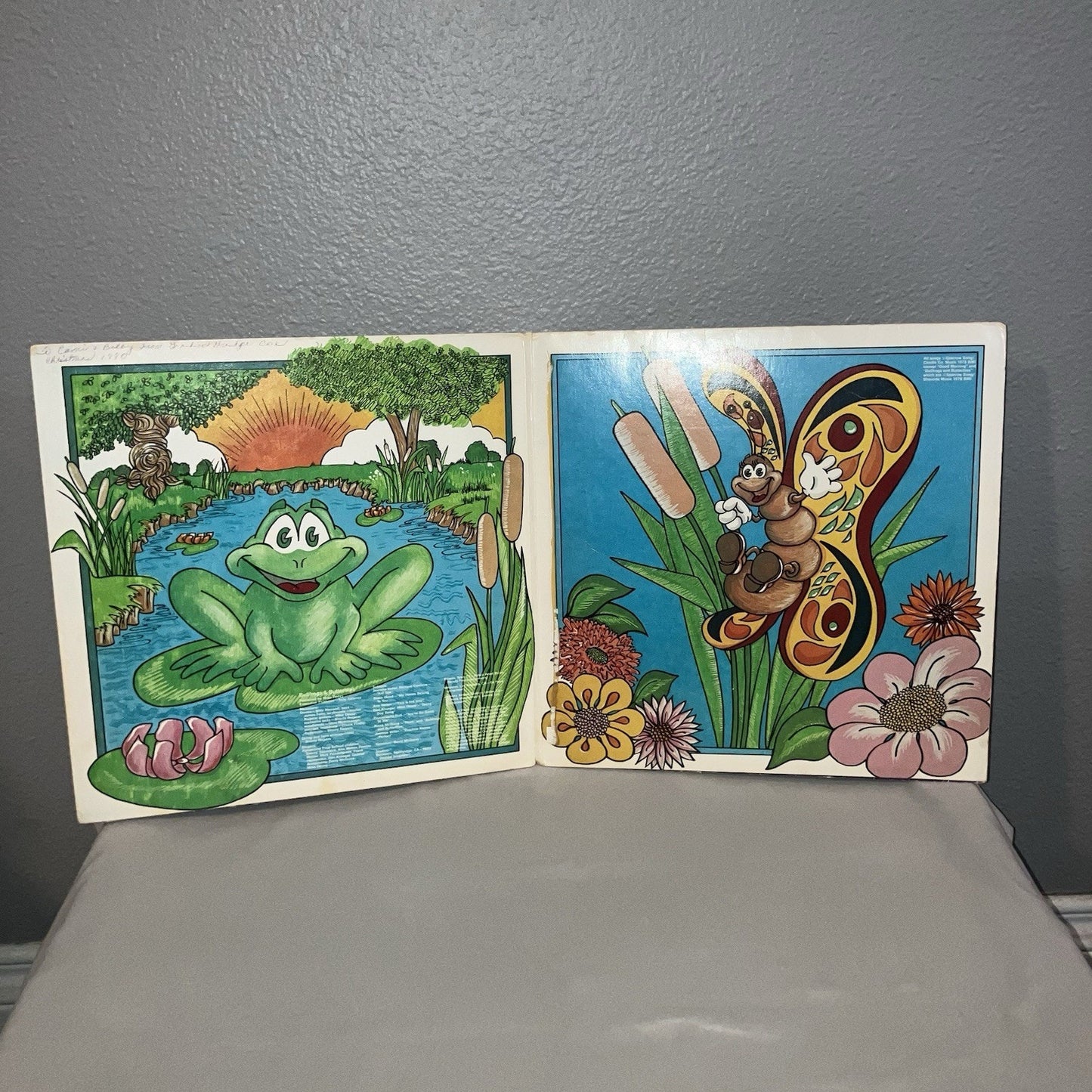 Vinyl Record Bullfrogs And Butterflies Songs From Agapeland Scratched But Works