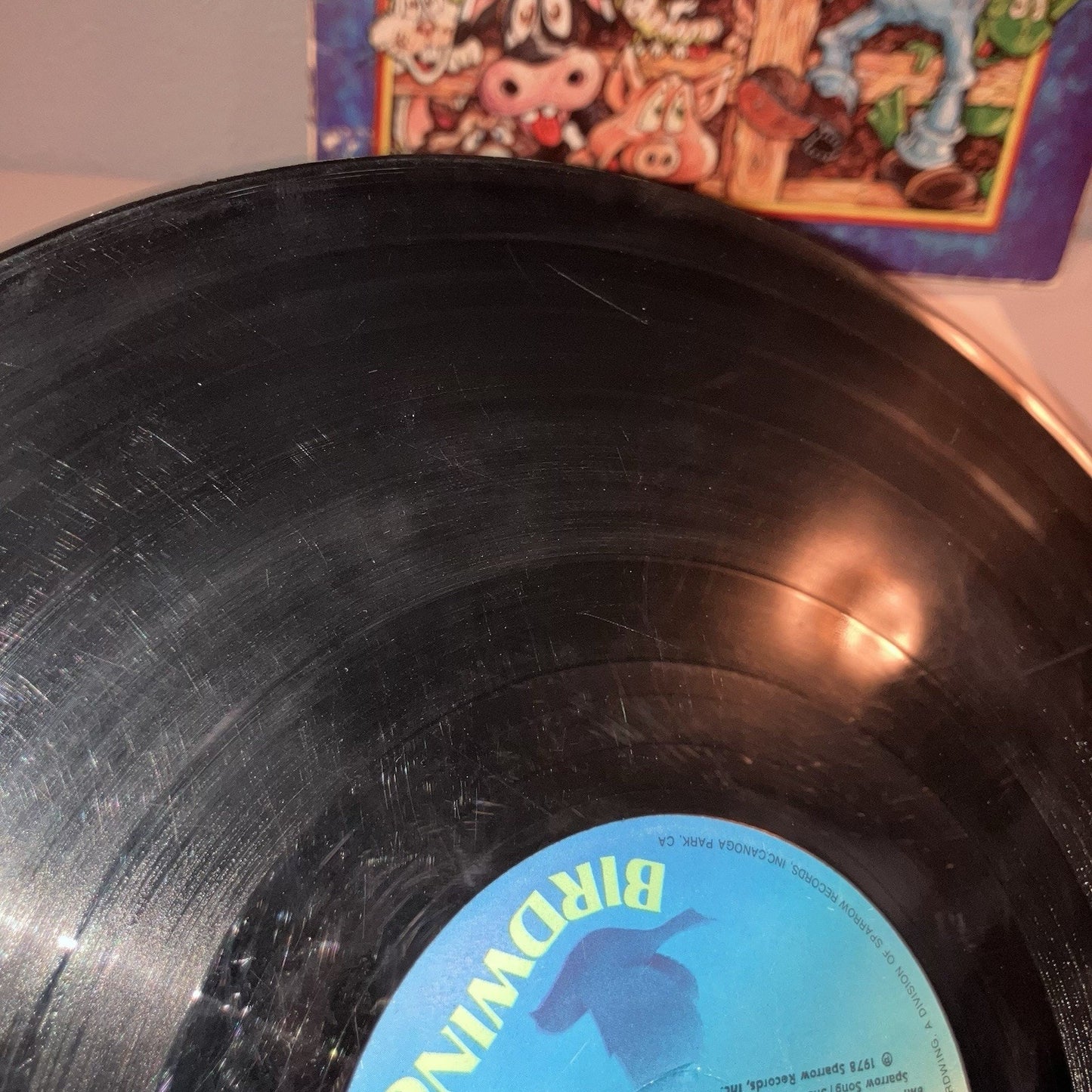 Vinyl Record Bullfrogs And Butterflies Songs From Agapeland Scratched But Works