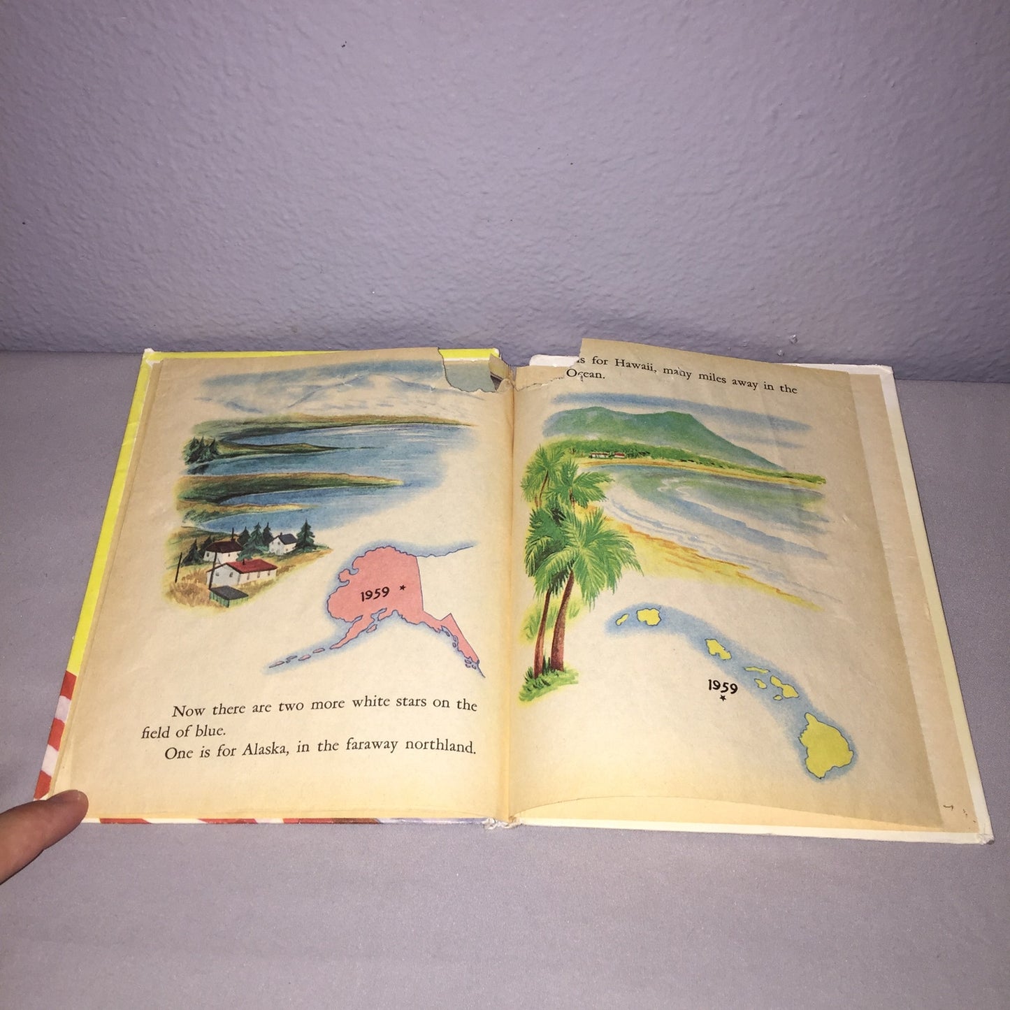 The Story Of Our Flag 1960's A Rand McNally Book Tip-Top Elf Books *Damage*