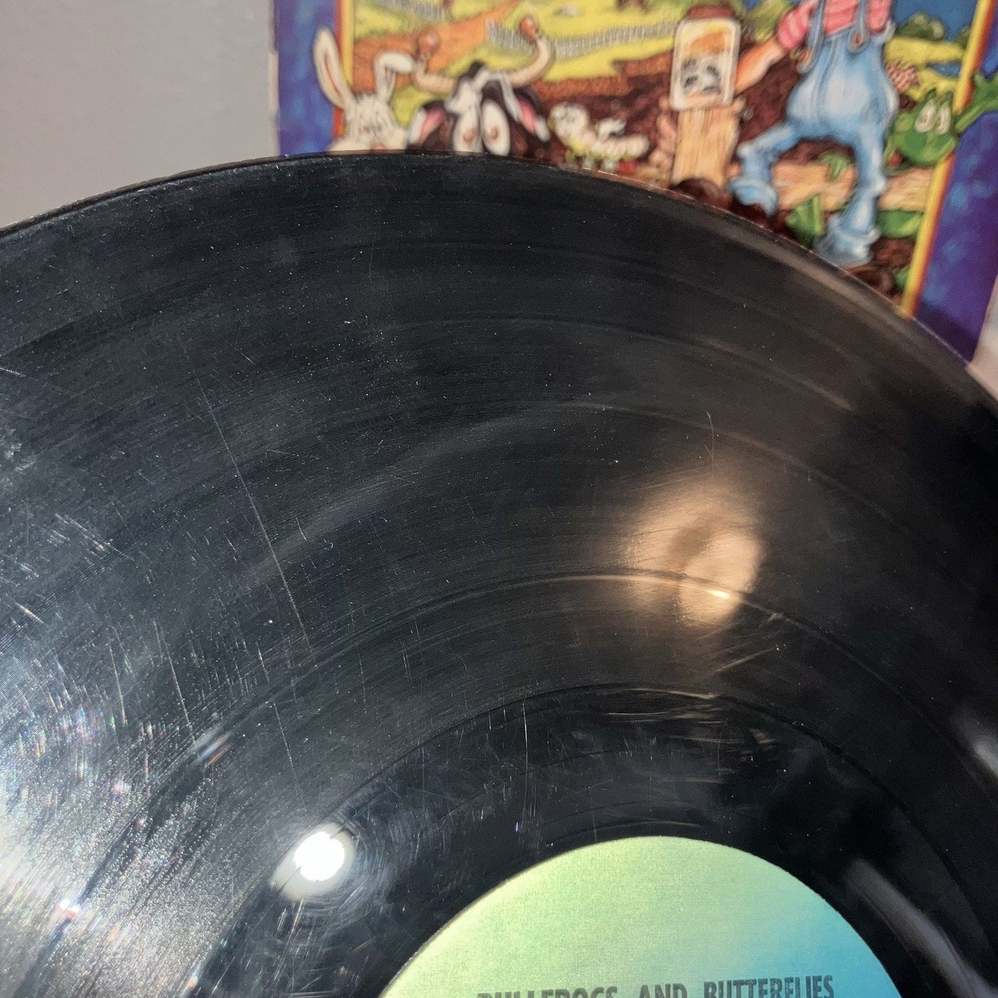 Vinyl Record Bullfrogs And Butterflies Songs From Agapeland Scratched But Works