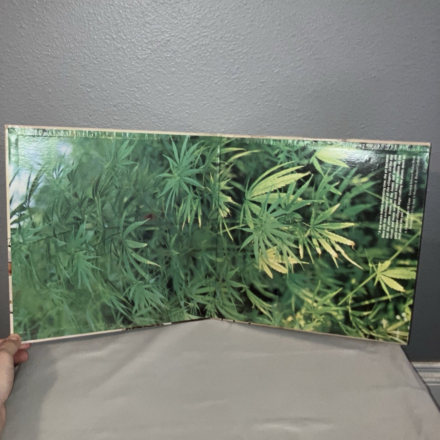 Vinyl Record Missing A Child's Garden Of Grass A Pre- Legalization Comedy Album