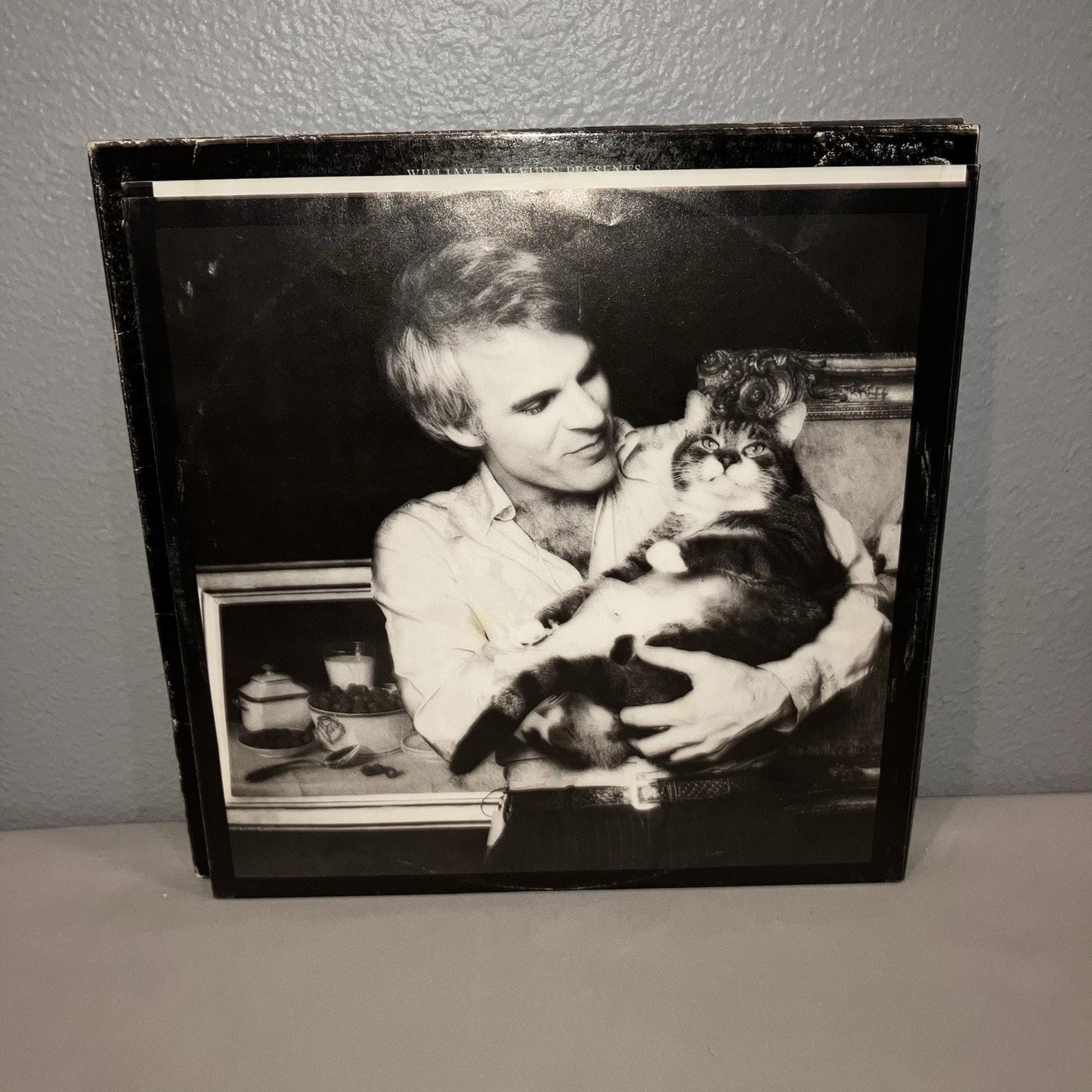 Vinyl Record Steve Martin A Wild And Crazy Guy 1978 Comedy LP Album Classic SNL