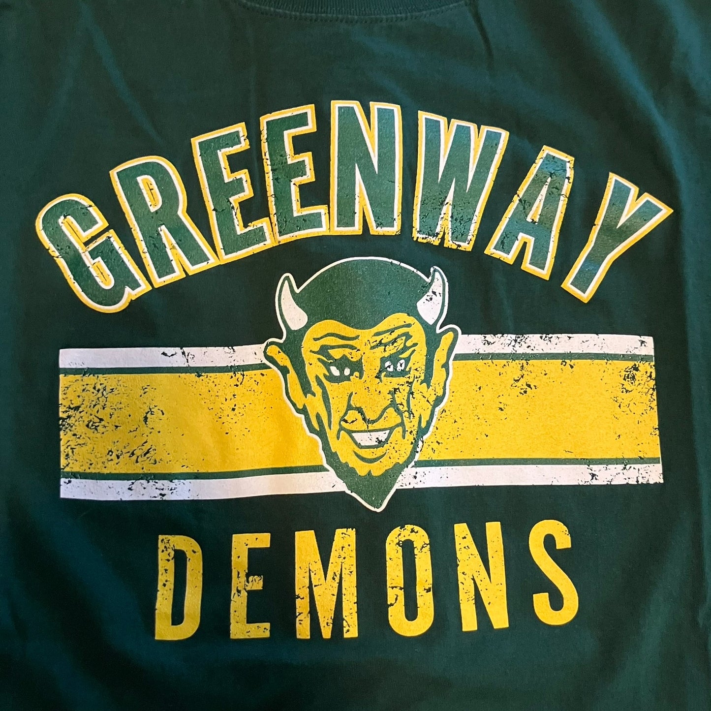 Greenway High School Demons 5 Vtg Large T Lot + New Pin School Mascot *1 T is XL