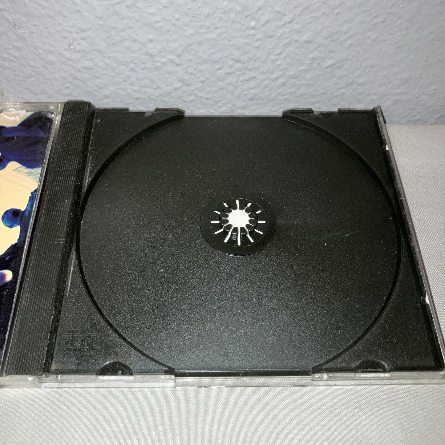 Cd Case Only Ice Cube Death Certificate Priority Records See Pics For Condition