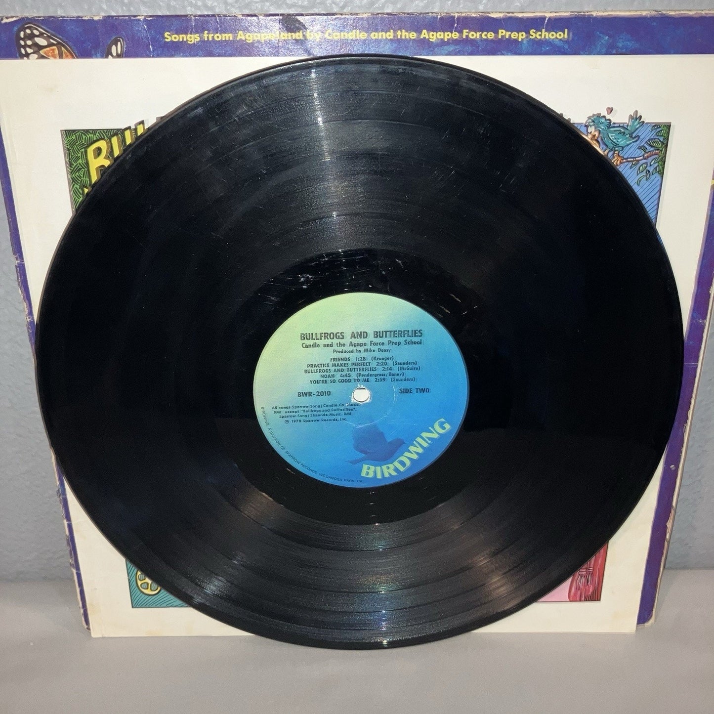 Vinyl Record Bullfrogs And Butterflies Songs From Agapeland Scratched But Works
