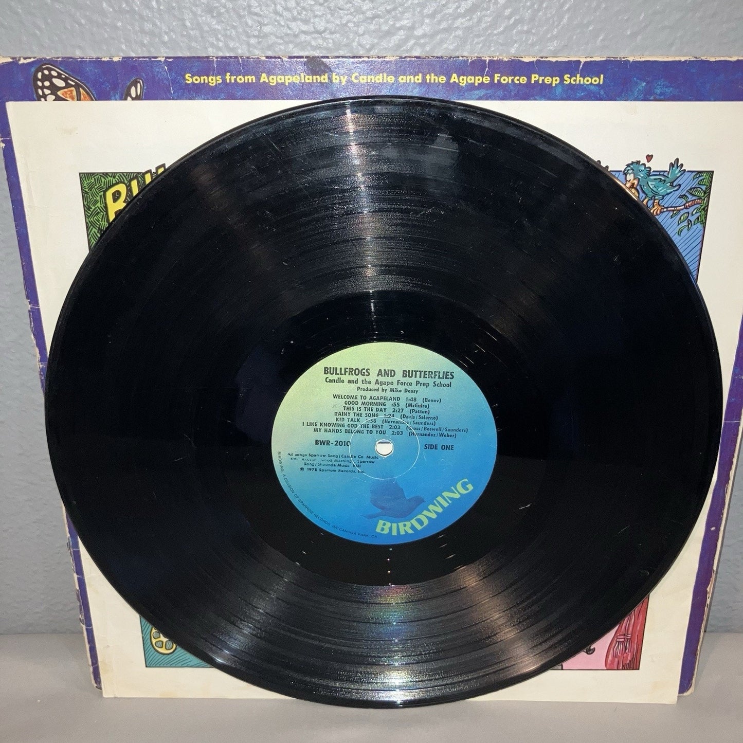 Vinyl Record Bullfrogs And Butterflies Songs From Agapeland Scratched But Works