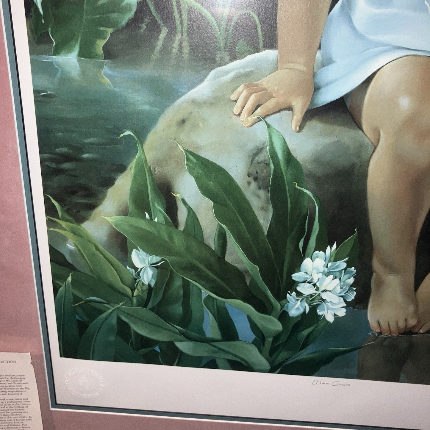 Art Mary Koski White Ginger 24x30”Lithograph / Serigraph 321/500 COA See Info