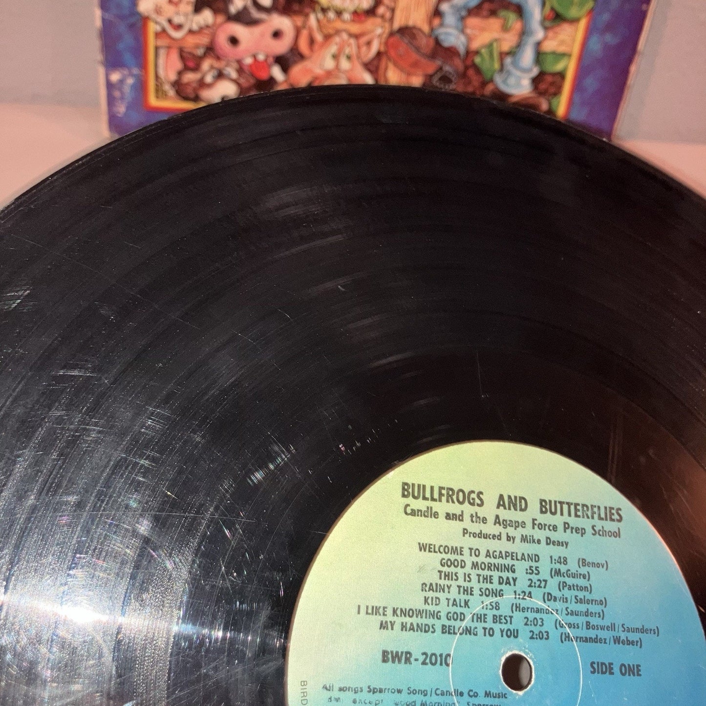 Vinyl Record Bullfrogs And Butterflies Songs From Agapeland Scratched But Works
