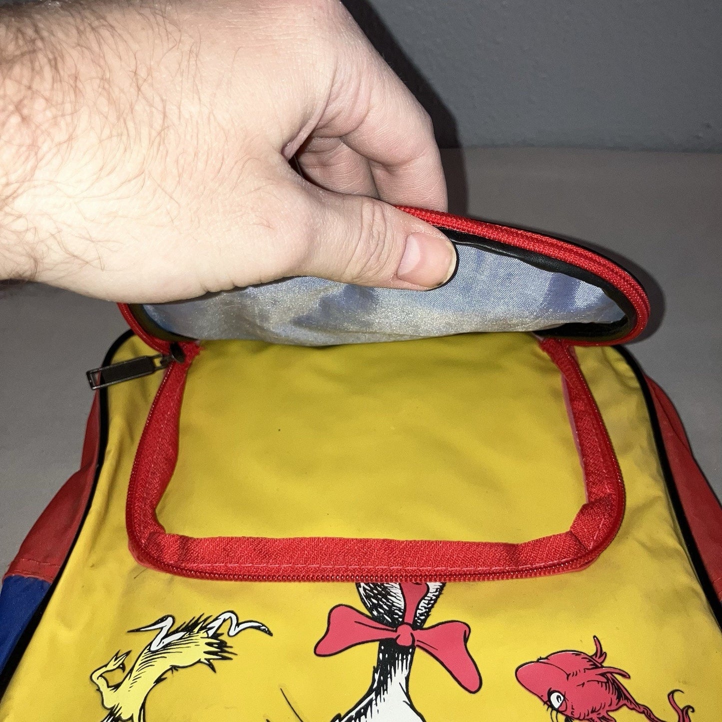 Bag Kids Dr. Seuss and His Friends 1997 Backpack Bookbag School W Cat In The Hat